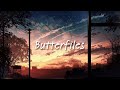 ASTN - Butterfiles (lyrics)