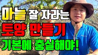 마늘이 잘 자라는 토양은 따로있다? / 마늘밭밑거름/마늘밭 만들기