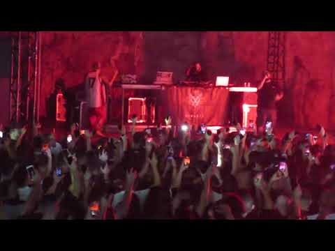 Buzz x DOLOS - Queens