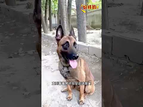 跨越物种的美好 # 传递正能量 # 好人一生平安