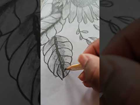 The Flower comes to Life #pencilportrsit  #flowerdrawing #shading #drawing #pencildrawing #artwork