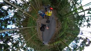 爬關子嶺大凍山順便測試一下新玩具insta 360 one x2
