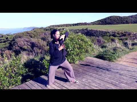 UPDATED: Tai Chi 5 Min a Day - Module 05 Dragon Flies-Double Spiral-Umbrellas-One Camera New Music-