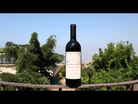 DocuWine | Terra di lavoro - Galardi