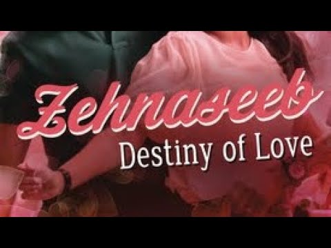 Zehnaseeb (Lyrics video) - Hasse toh phasee 🎶🎶🎵 || Songs 