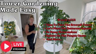 Tower Gardening Made Easy LIVE CAM #towergarden #hydroponicgardening #garden #farm #aeroponic