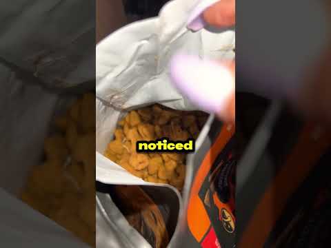 This Dog Food Made Her Puppy Go To The Hospital!