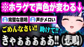 悲鳴を上げたり、怖くて焦ったり、声色を変えながらホラゲをする姿が可愛いこかげんぬww【ぶいすぽ 切り抜き/紡木こかげ】