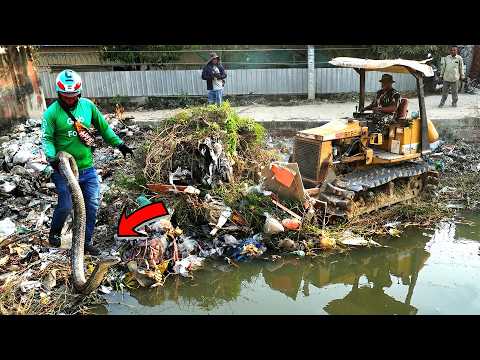 First Amazing Project! Landfill Delete Flooded Garbage Grass Using SkillS Dozer with Dump Truck 5Ton