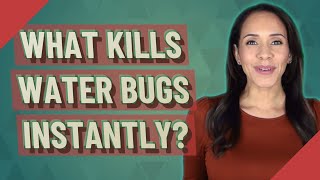 What kills water bugs instantly?