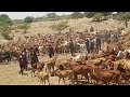 LUGWESA 2026