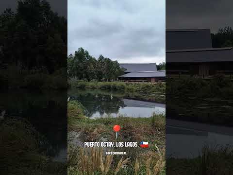 Puerto Octay • Región de Los Lagos, Chile. (2026)