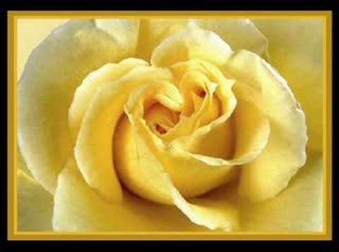 SANE feat. Bate Pe60 - Nqkolko Istini