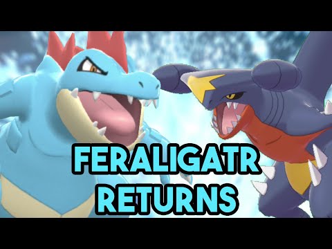 Does DRAGON DANCE Feraligatr Have A Switchin Pokemon Brilliant Diamond and Shining Pearl Wifi Battle