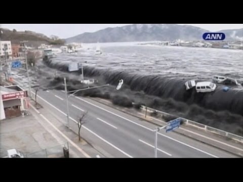 Tsunami no Japão 2014