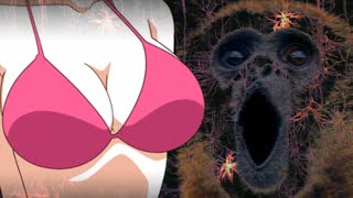 i see titty, i click.