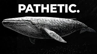 The Only Time In History That Blue Whales Weren’t The Biggest