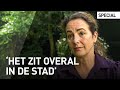 Burgemeester Femke Halsema over corona in Amsterdam