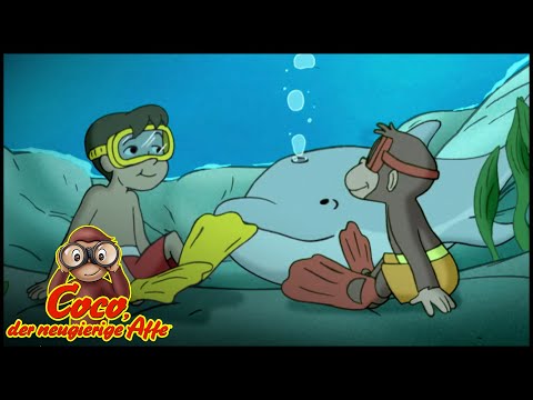 Coco der Neugierige Affe | Cocos und Marcos Tag am Strand | Cartoons für Kinder