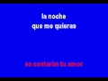 Alejandro Fernández   El Dia Que Me Quieras Karaoke