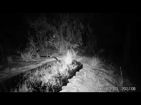 Thumbnail of the embedded YouTube video