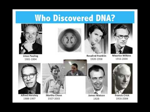 History & Discovery of DNA