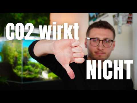 5 fatale Fehler, wenn du CO2 in deinem Aquarium nutzt!