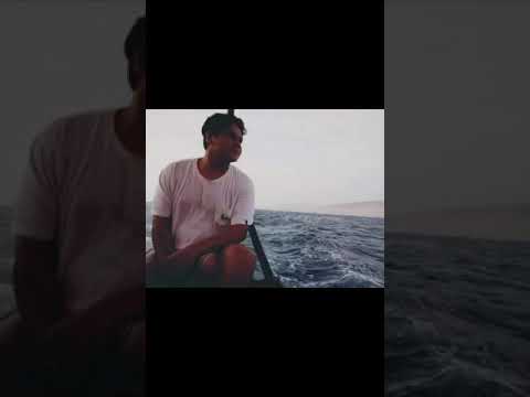 JOA PRIMUS INTER PARES - SALVATION