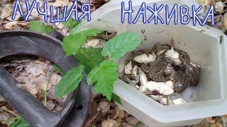 Ссылка