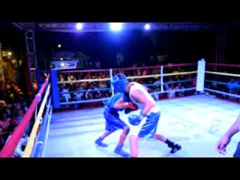 Nelson Guerrero Vs Norlan Peña