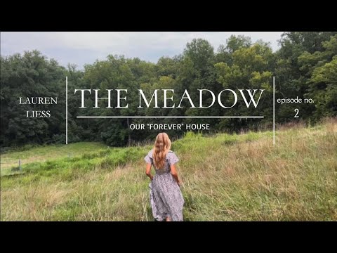 {Lauren Liess} The Meadow House Ep.2 - House Progress in the Wildflower Meadow #homedesign