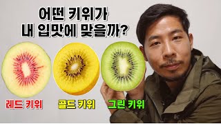 3가지 키위 중 어떤게 제일 맛있을까?(골드키위,레드키위,그린키위)