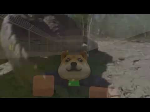 Interior Crocodile Alligator