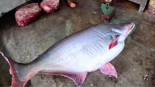 Big Pangas Fish Cutting Skills in Fish Market by Expert