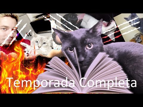 O Diário de Sylvester - Legendado - Temporada completa