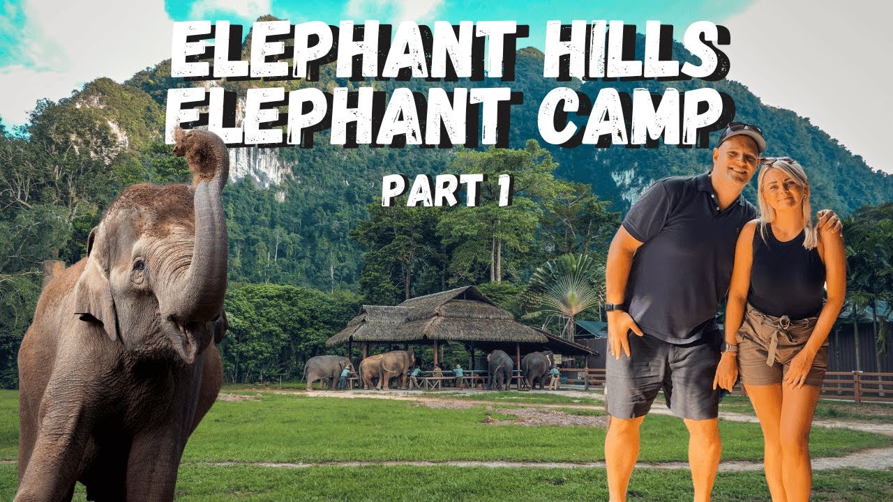Experience the thrilling journey of tourists as they explore Elephant Hills Jungle Camp in this captivating video.