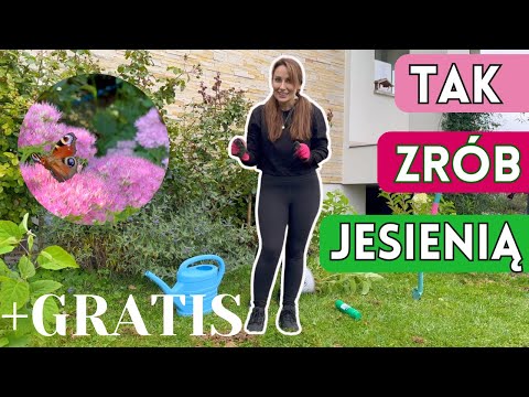 NOWA RABATA NA KARTONACH - TAK SADŹ ROŚLINY JESIENIĄ