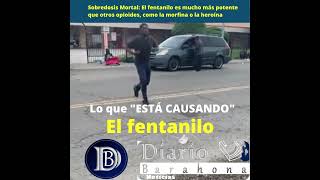 MIRA COMO TERMINA EL SER HUMANO CON EL FENTANILO