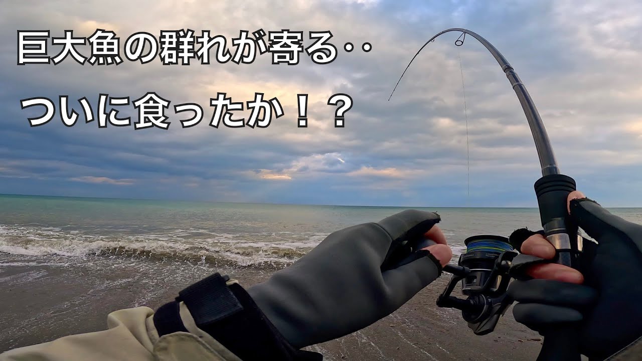 140㎝の巨大魚がうろつく砂浜でルアー釣りをし続けた結果‥