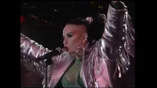 A Quién Le Importa Lyrics English Translation