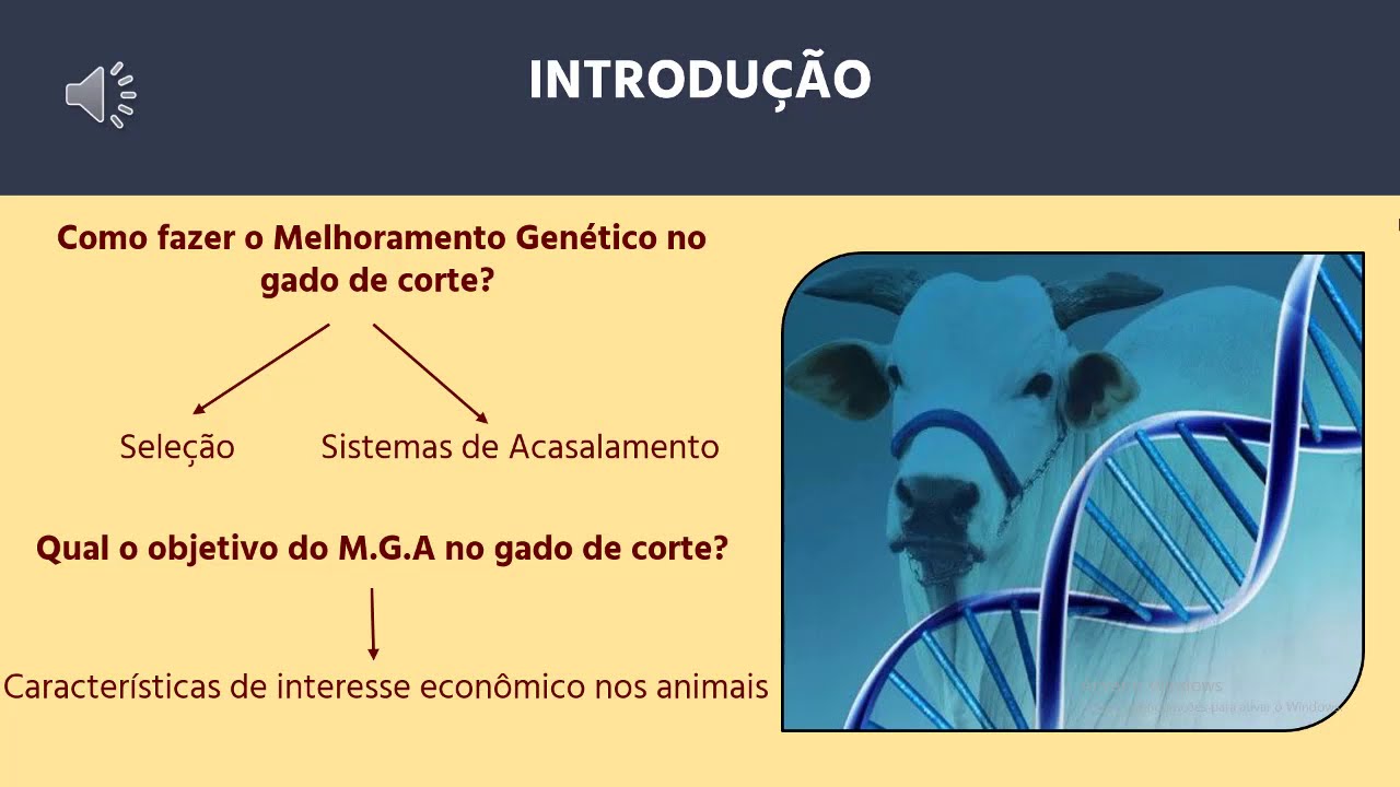 Melhoramento Genético de Bovinos de Corte