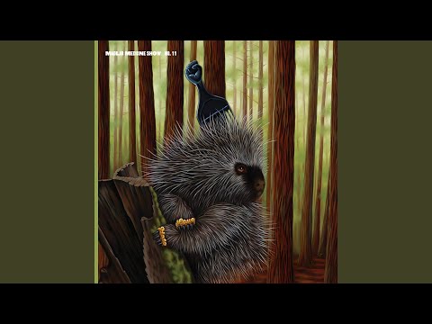 Start Sumthin' (93033)