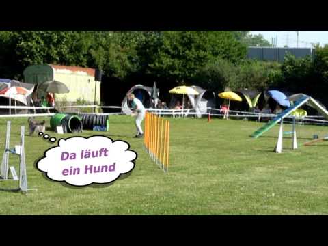 04.+05.07.2015 SV OG Leonberg Eva & Neo - A1+Spiel1+2