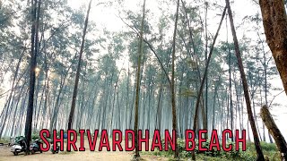 preview picture of video 'Shrivardhan Beach-Perfect travel destination near mumbai | Nikon P900'