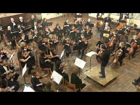 Mozart - Symphony No. 31 "Paris," 1st mvt. - Arlington Philharmonic Orchestra