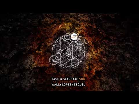 Tash & Starkato - The Bash (SEQU3l Remix) [Movement Recordings]