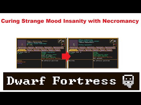 Curing Strange Mood Insanity with Necromancy in Dwarf Fortress Tutorial