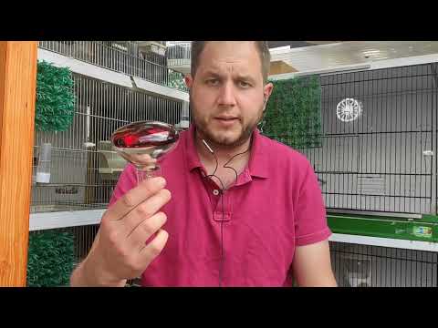 Die beste und einfachste Hilfe bei Legenot #25