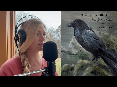 Blackbird - The Beatles (Acoustic Sunflower Sessions cover)