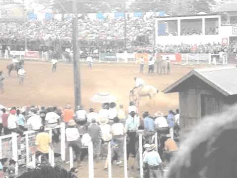 GINETEADAS - 28º Rodeio Crioulo Internacional de Vacaria